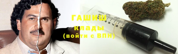ALPHA PVP Ельня