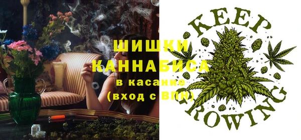 твердый Елизово