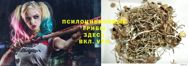 первитин Алексеевка