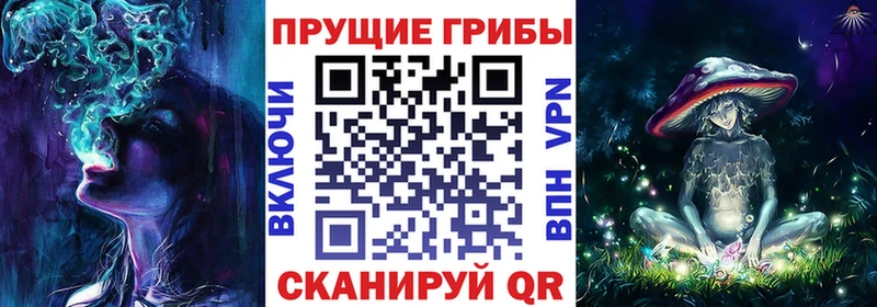 где купить наркотик  Ставрополь  МЕГА ссылка  Галлюциногенные грибы Cubensis 